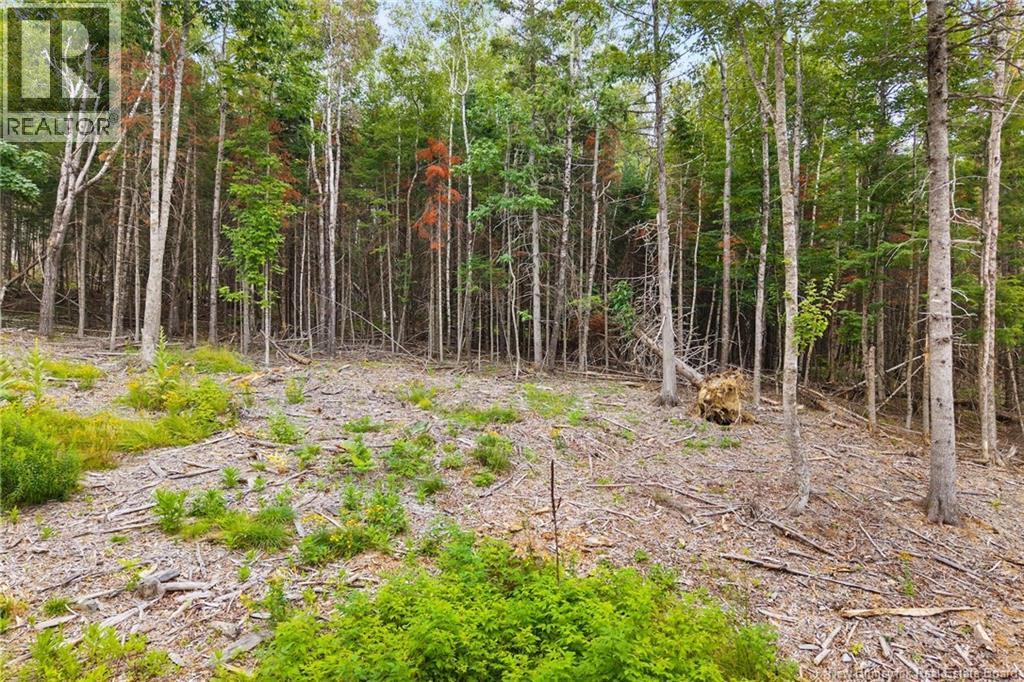 / Robert's Way, Keswick Ridge, New Brunswick  E6L 0C6 - Photo 15 - NB145160