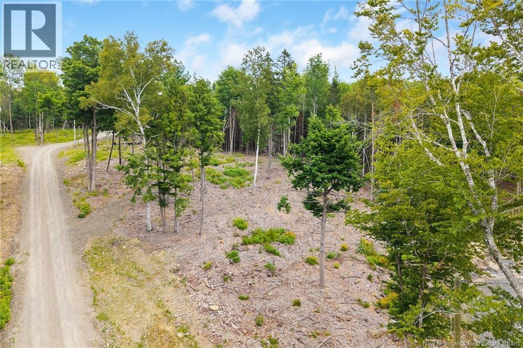 / Robert's Way, Keswick Ridge, New Brunswick  E6L 0C6 - Photo 9 - NB145160