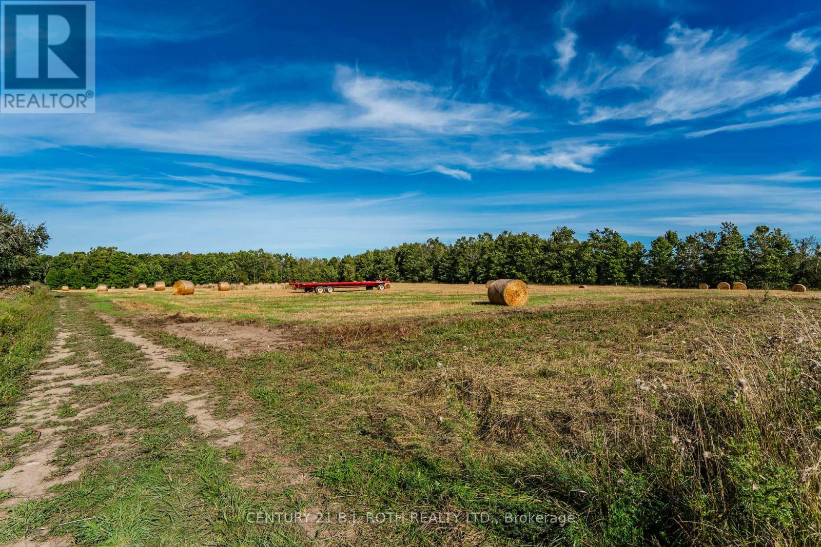 363 12 Line N, Oro-Medonte, Ontario  L0L 1T0 - Photo 14 - S13634748