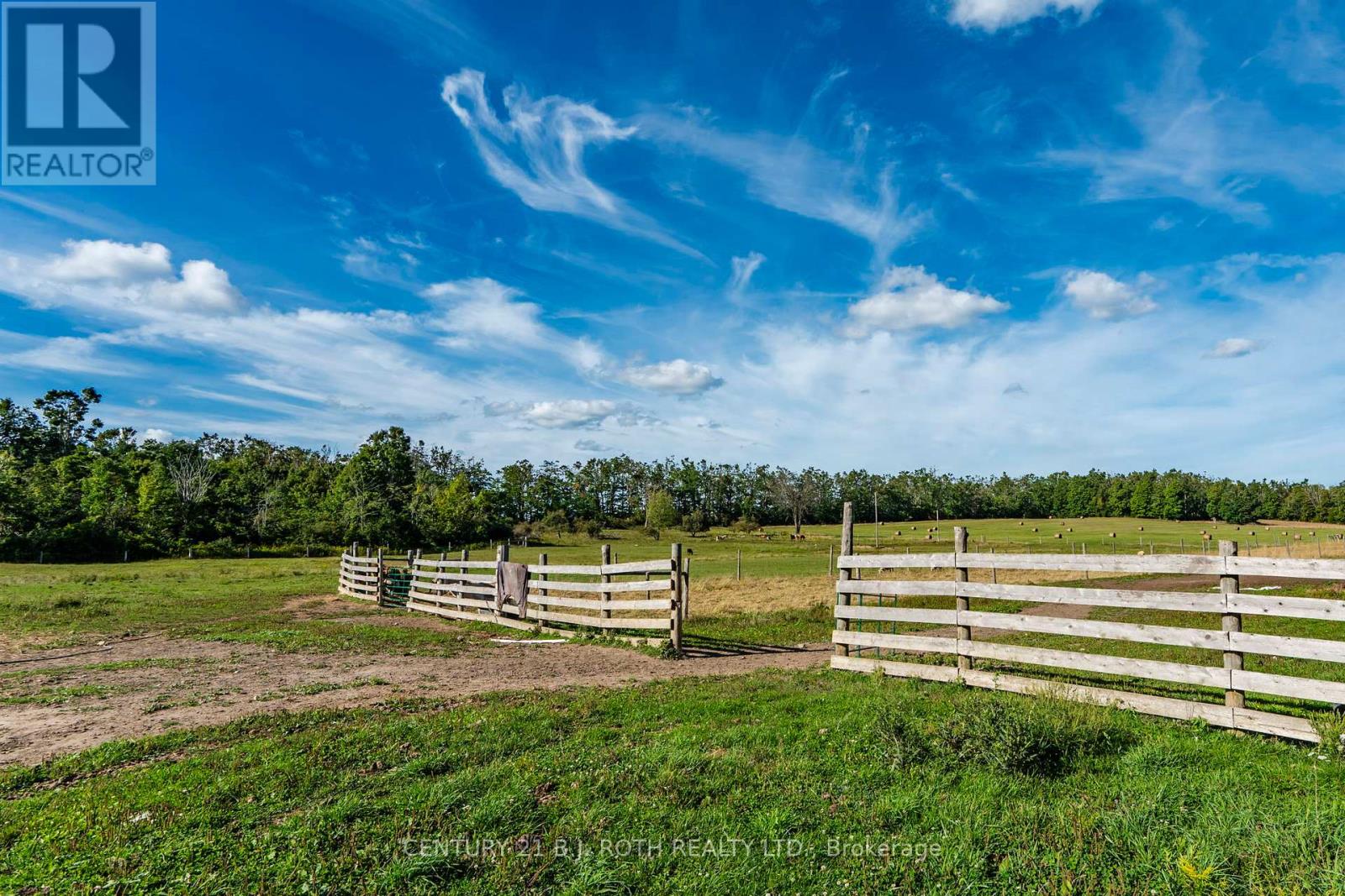 363 12 Line N, Oro-Medonte, Ontario  L0L 1T0 - Photo 15 - S13634748