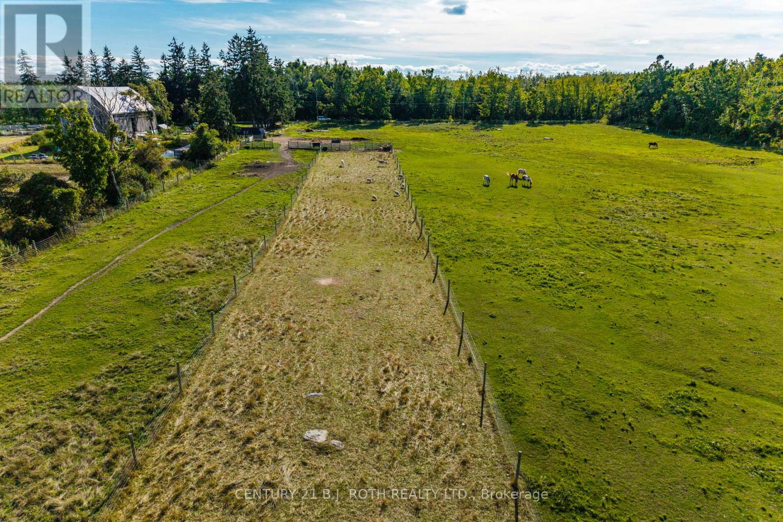 363 12 Line N, Oro-Medonte, Ontario  L0L 1T0 - Photo 30 - S13634748