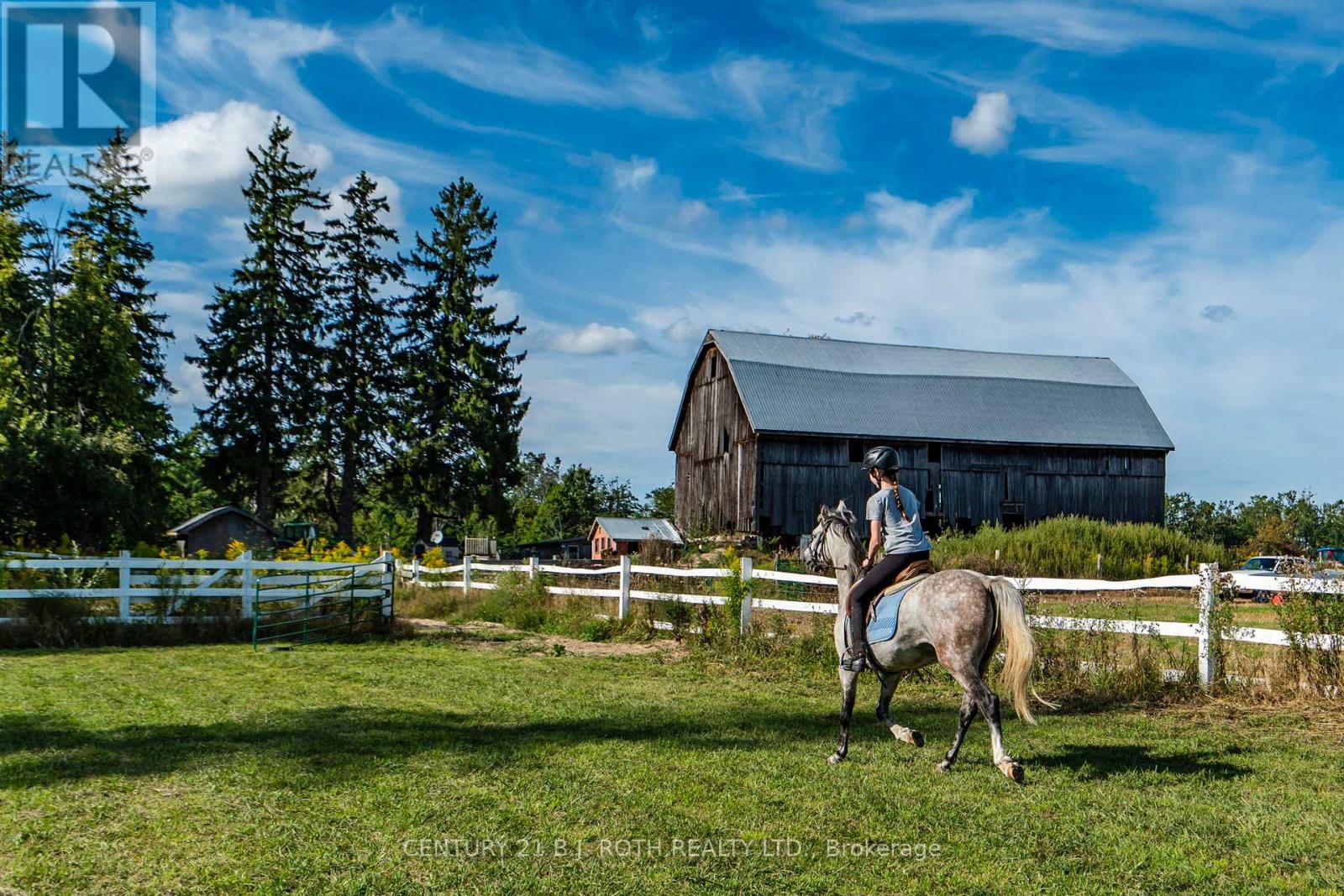 363 12 Line N, Oro-Medonte, Ontario  L0L 1T0 - Photo 4 - S13634748