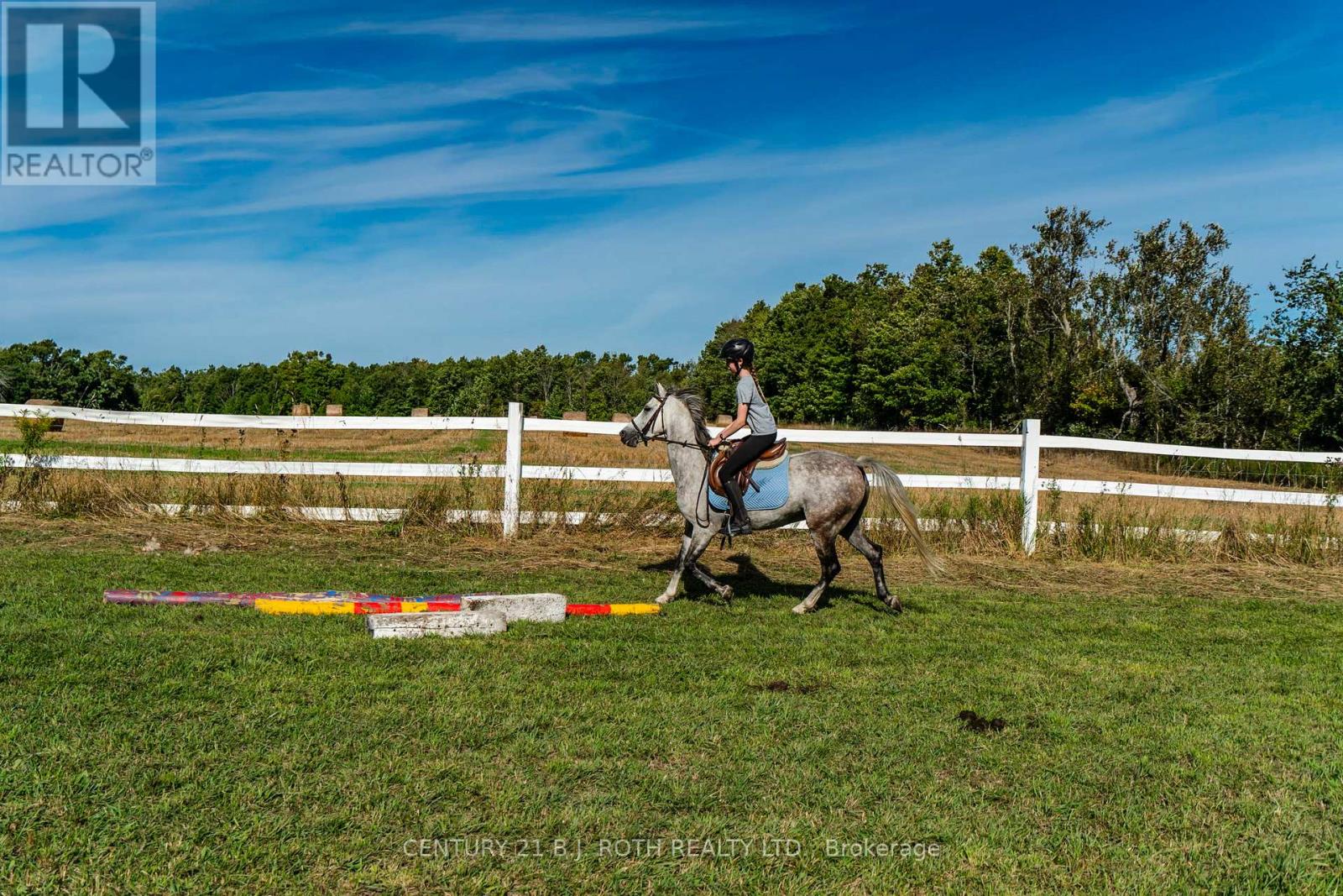 363 12 Line N, Oro-Medonte, Ontario  L0L 1T0 - Photo 46 - S13634748