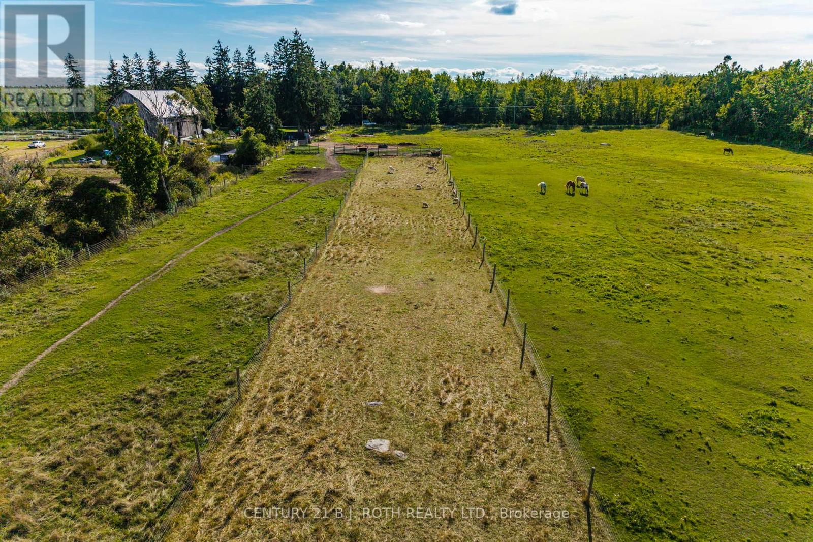 363 12 Line N, Oro-Medonte, Ontario  L0L 1T0 - Photo 5 - S13634748