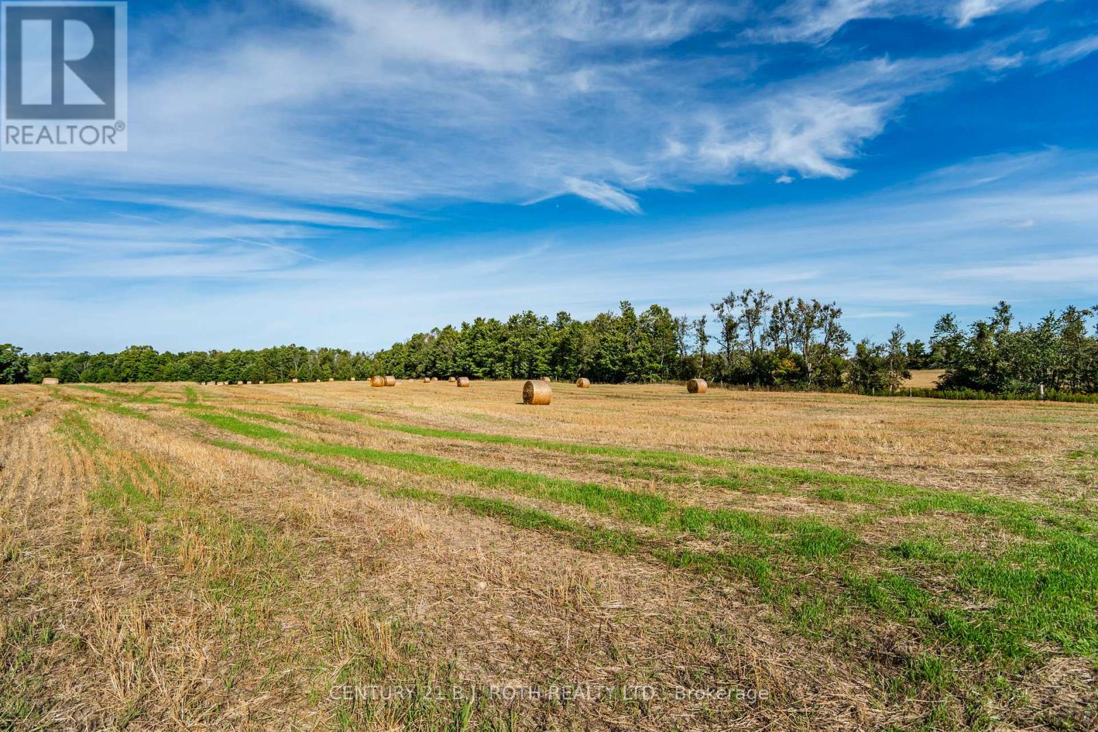 363 12 Line N, Oro-Medonte, Ontario  L0L 1T0 - Photo 6 - S13634748