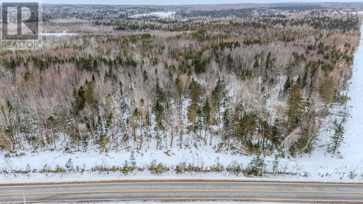 Lot Pleasant Valley Road, Pleasant Valley, Nova Scotia  B0N 1C0 - Photo 3 - 202603388