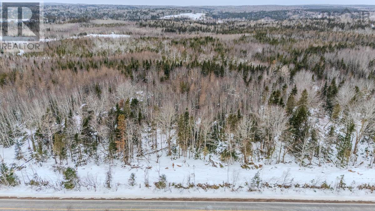 Lot Pleasant Valley Road, Pleasant Valley, Nova Scotia  B0N 1C0 - Photo 4 - 202603388