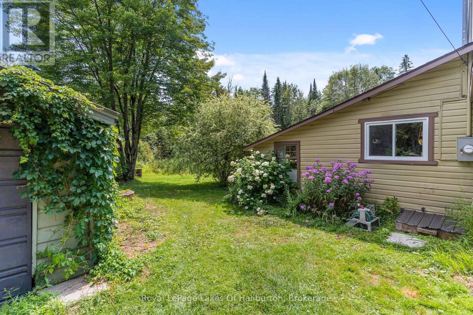 4982 Gelert Road, Minden Hills, Ontario  K0M 2K0 - Photo 39 - X13634764