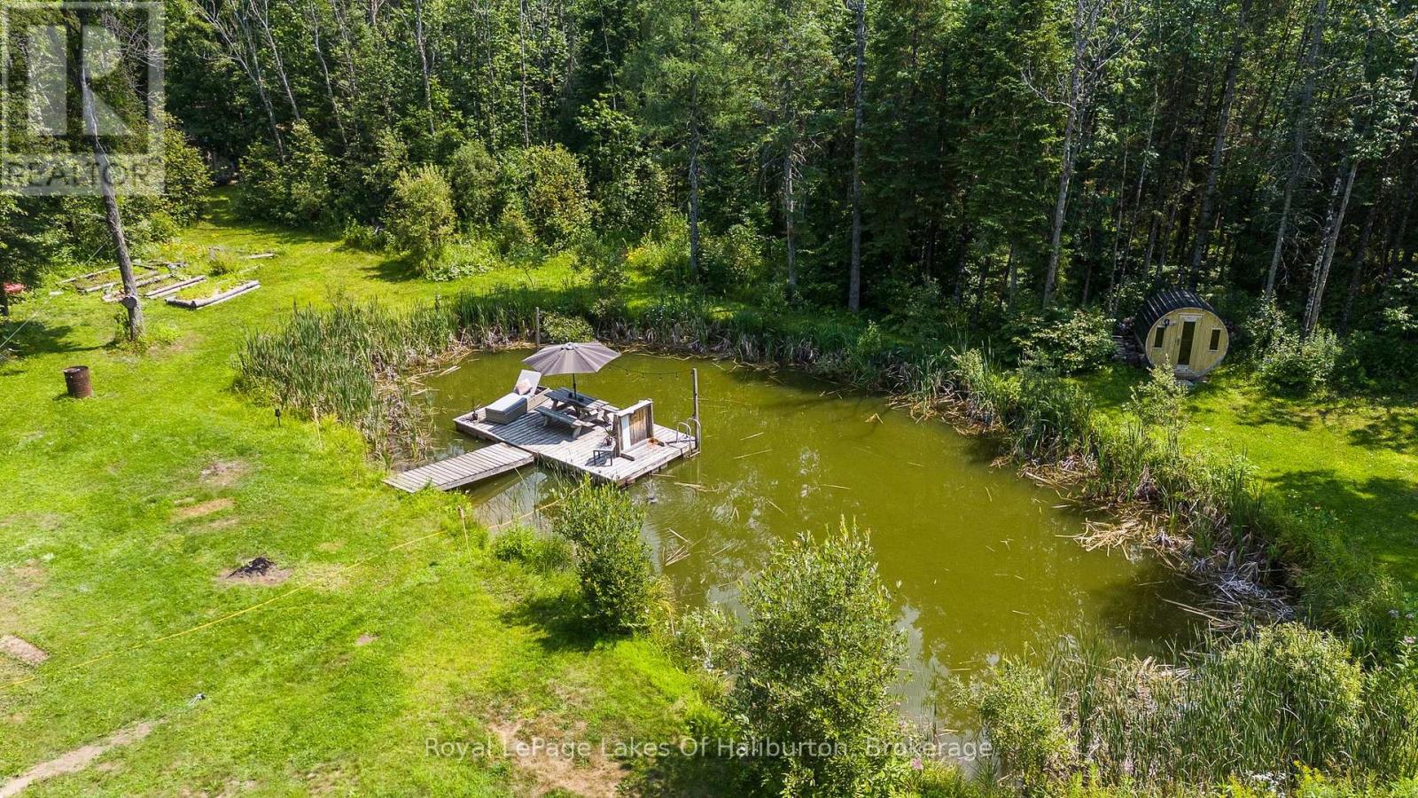 4982 Gelert Road, Minden Hills, Ontario  K0M 2K0 - Photo 5 - X13634764