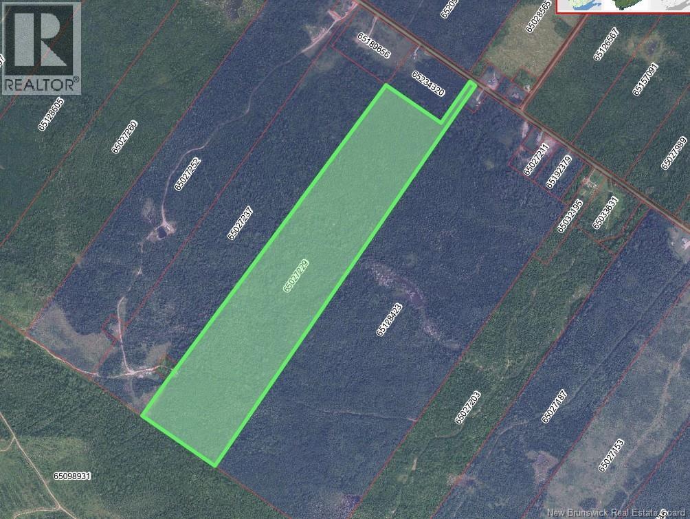 Lot Route 380, Anderson Road, New Brunswick  E7G 4E9 - Photo 1 - NB145155