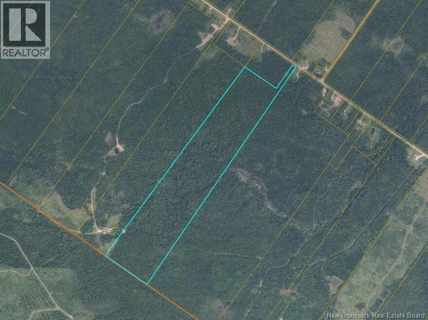 Lot Route 380, Anderson Road, New Brunswick  E7G 4E9 - Photo 3 - NB145155