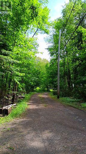 0 Roma Lane, Stirling-Rawdon, Ontario  K0K 2M0 - Photo 23 - X13634878