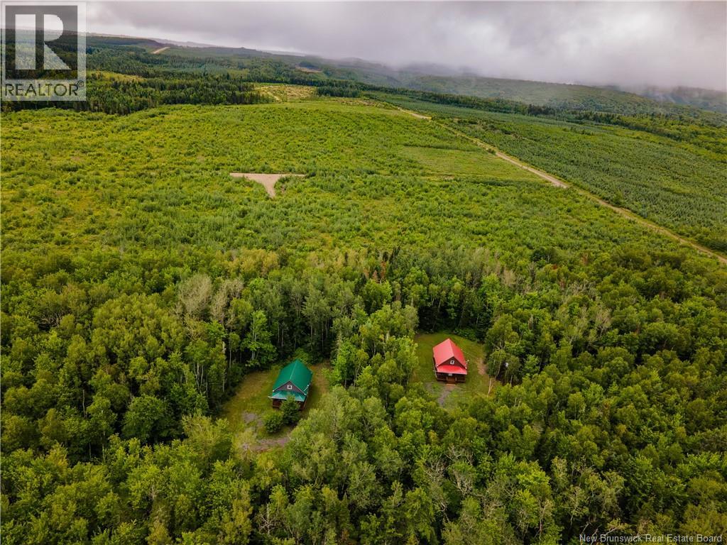 110 Cleveland Road, South Branch, New Brunswick  E4E 5E2 - Photo 48 - NB145198