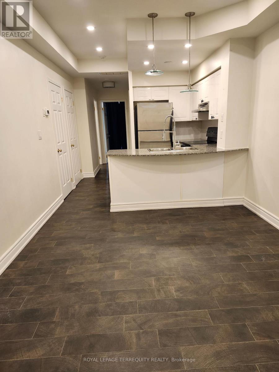 252 - 30 Stadium Road, Toronto, Ontario  M5V 3P4 - Photo 3 - C13634858