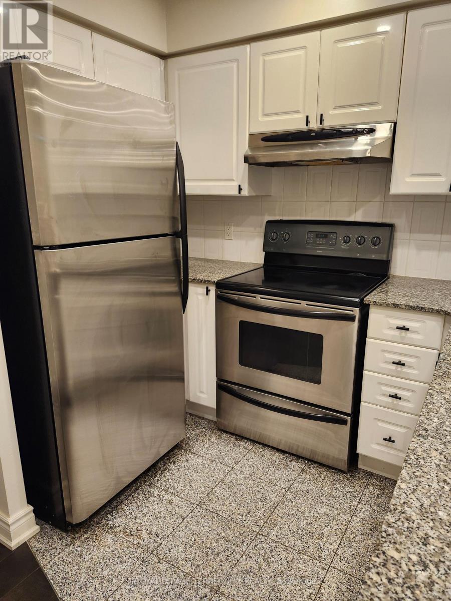 252 - 30 Stadium Road, Toronto, Ontario  M5V 3P4 - Photo 4 - C13634858