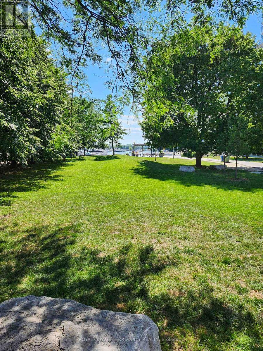 252 - 30 Stadium Road, Toronto, Ontario  M5V 3P4 - Photo 9 - C13634858