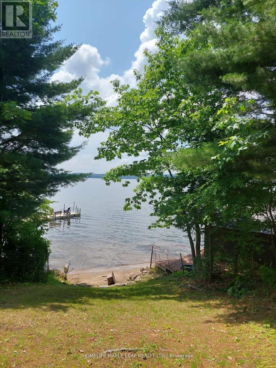 16431 Hwy 35, Algonquin Highlands, Ontario  K0M 1J1 - Photo 23 - X13634994