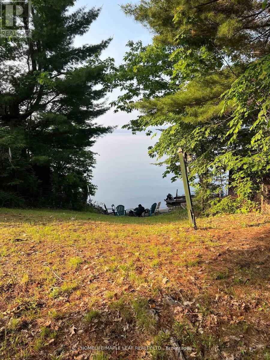 16431 Hwy 35, Algonquin Highlands, Ontario  K0M 1J1 - Photo 24 - X13634994