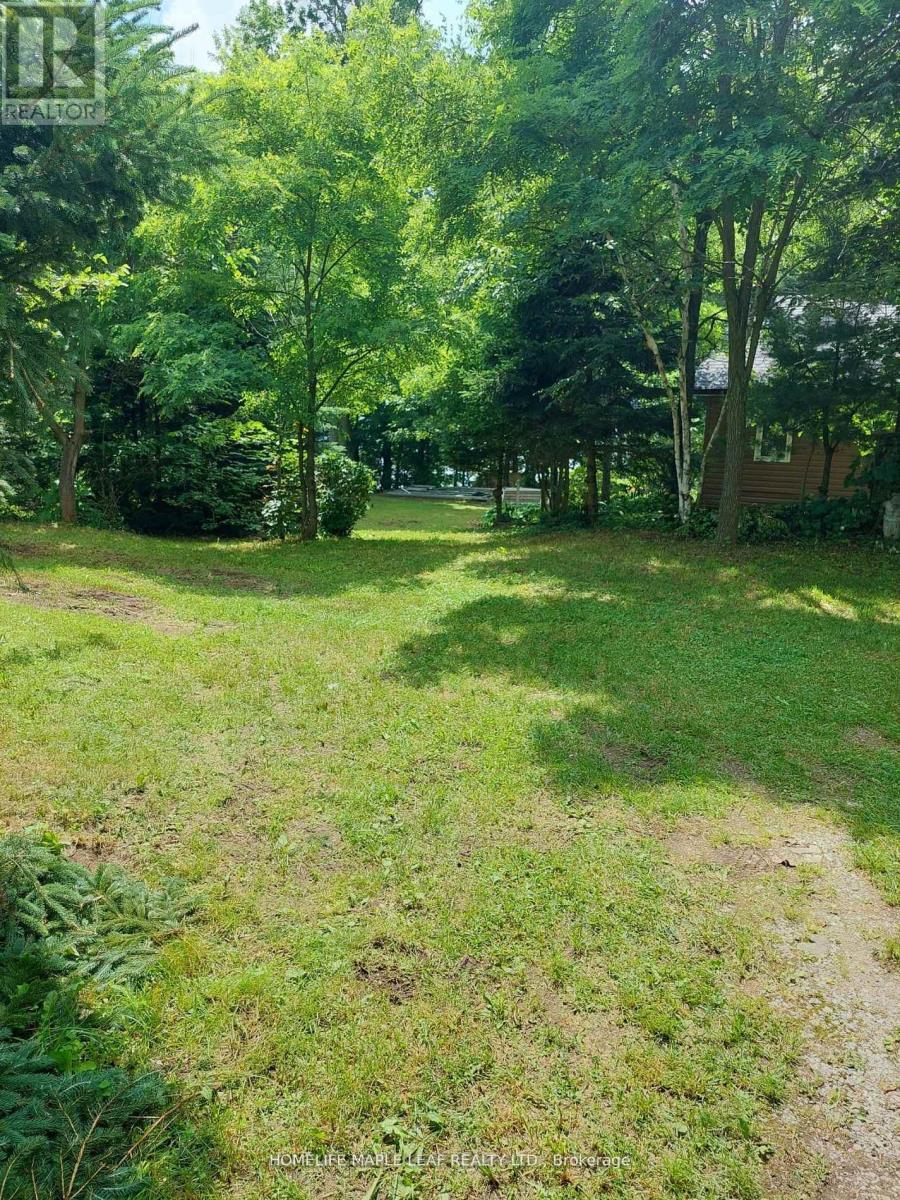 16431 Hwy 35, Algonquin Highlands, Ontario  K0M 1J1 - Photo 28 - X13634994