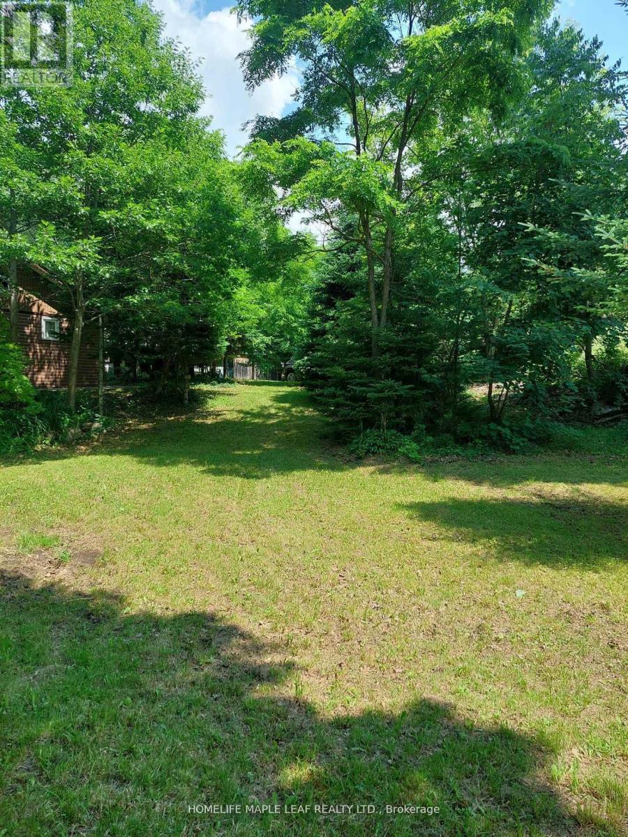 16431 Hwy 35, Algonquin Highlands, Ontario  K0M 1J1 - Photo 32 - X13634994