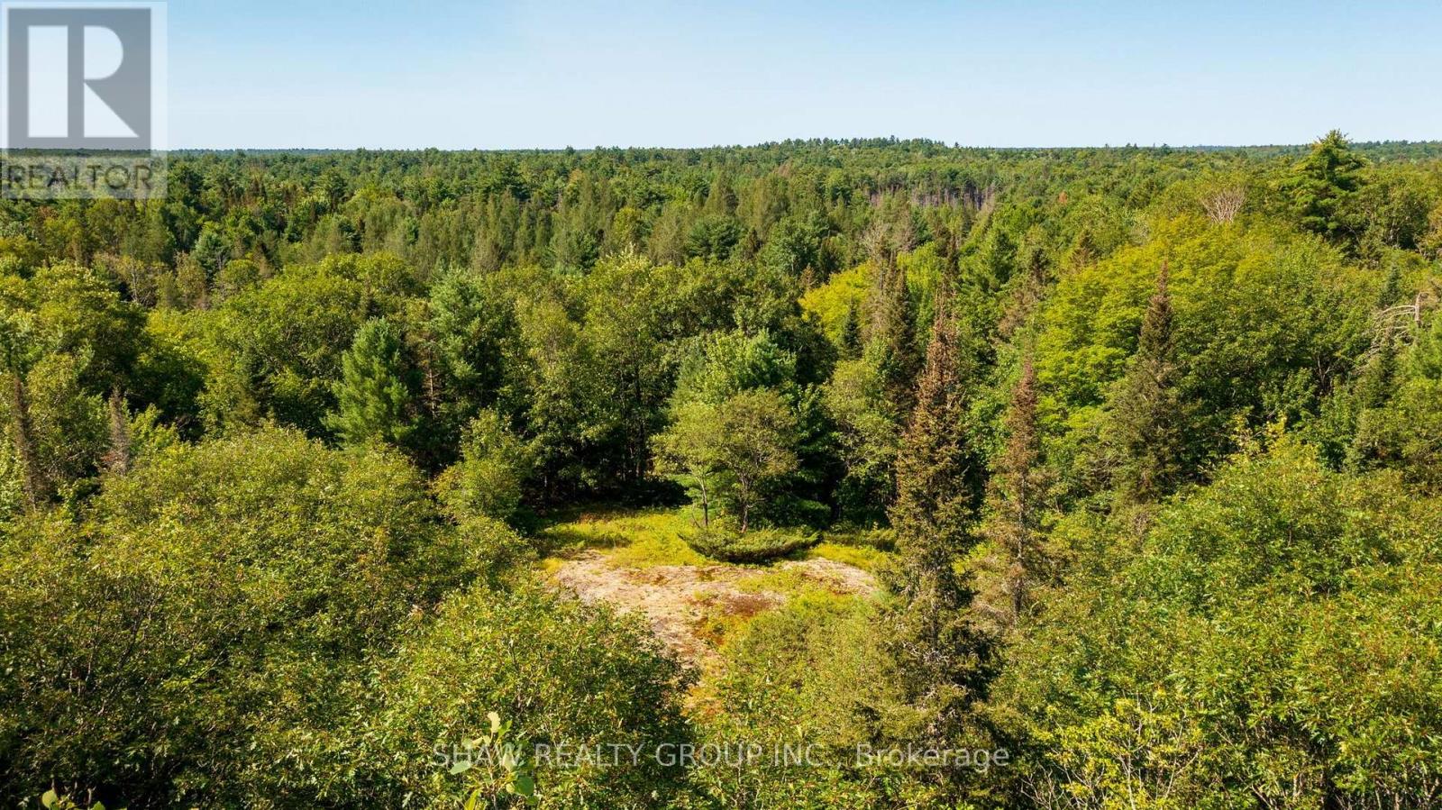 3726 Nipissing Road, Magnetawan, Ontario  P0A 1P0 - Photo 25 - X13635276