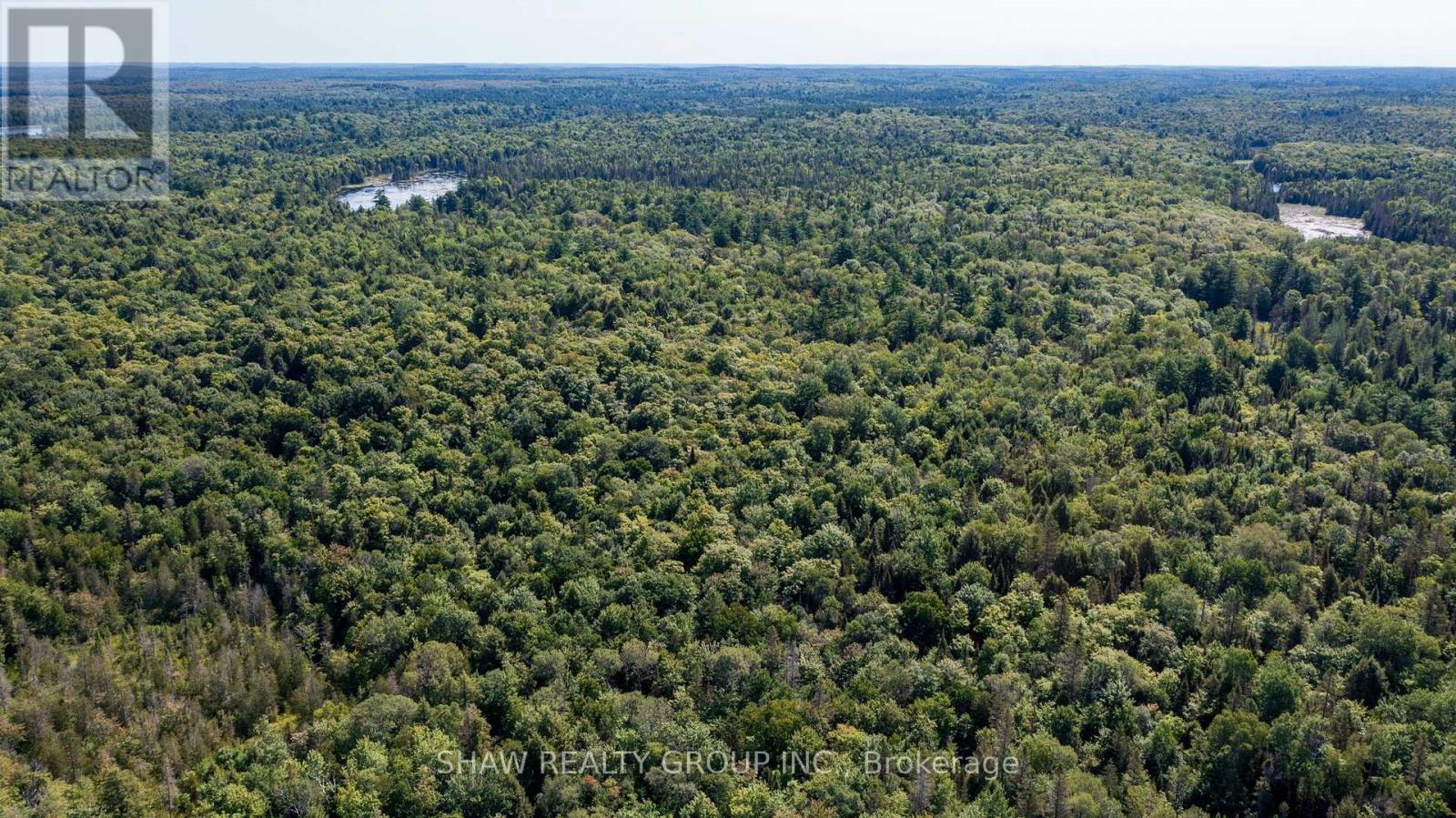 3726 Nipissing Road, Magnetawan, Ontario  P0A 1P0 - Photo 36 - X13635276