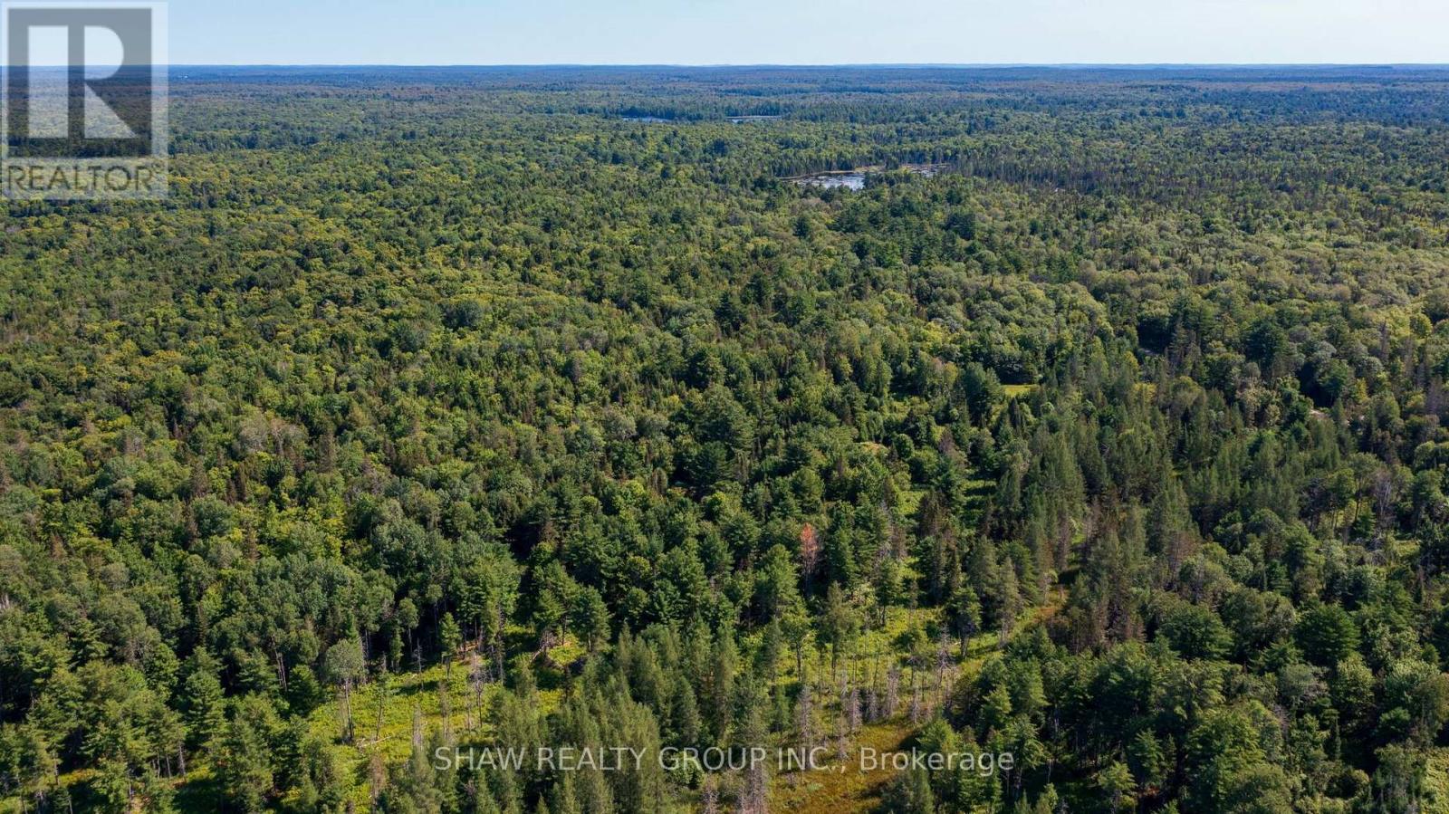3726 Nipissing Road, Magnetawan, Ontario  P0A 1P0 - Photo 37 - X13635276