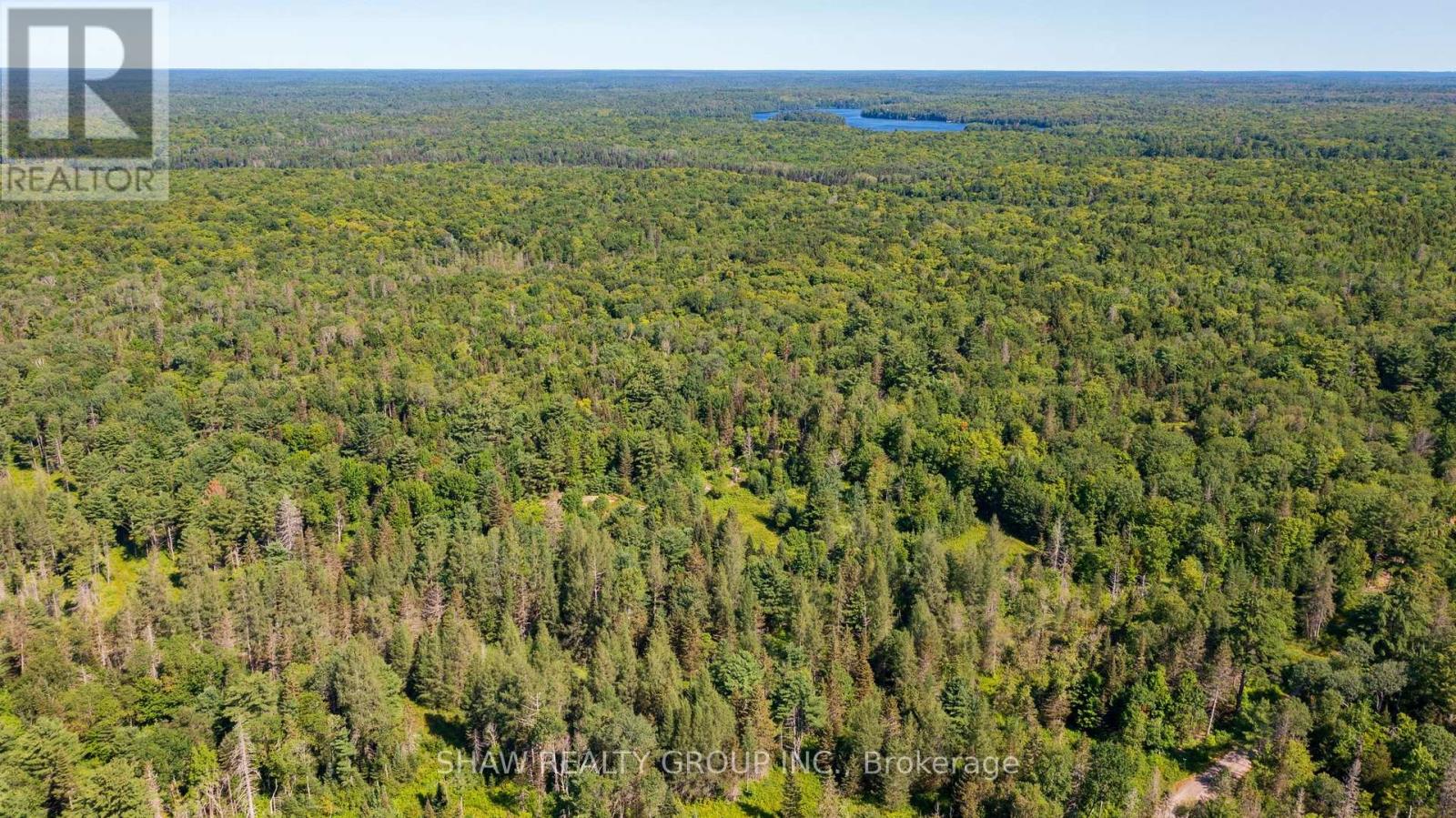 3726 Nipissing Road, Magnetawan, Ontario  P0A 1P0 - Photo 39 - X13635276