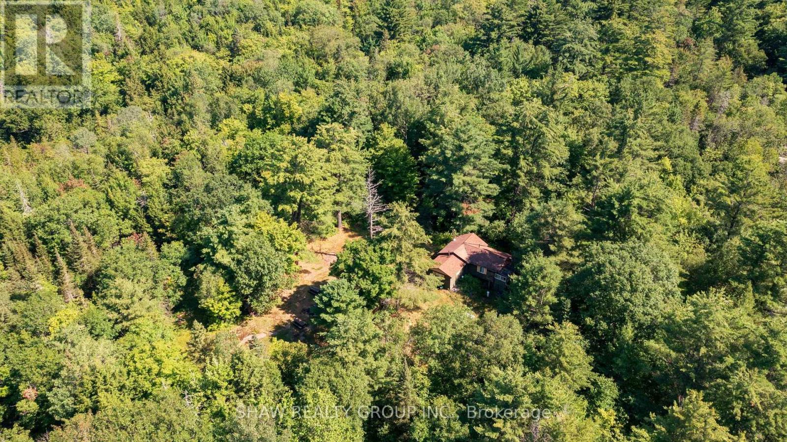 3726 Nipissing Road, Magnetawan, Ontario  P0A 1P0 - Photo 41 - X13635276