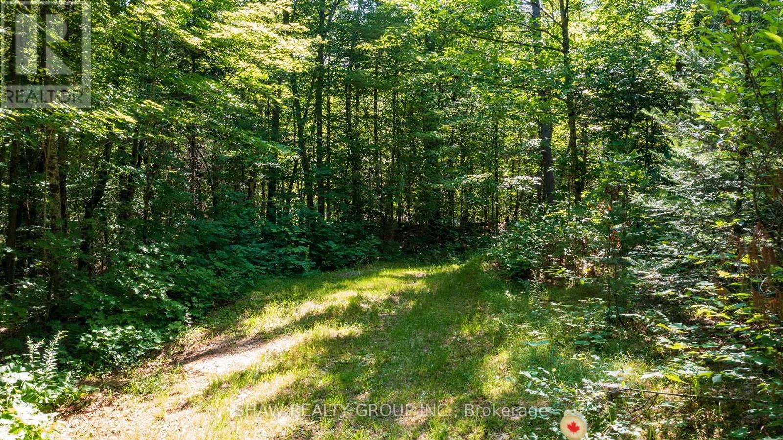 3726 Nipissing Road, Magnetawan, Ontario  P0A 1P0 - Photo 42 - X13635276