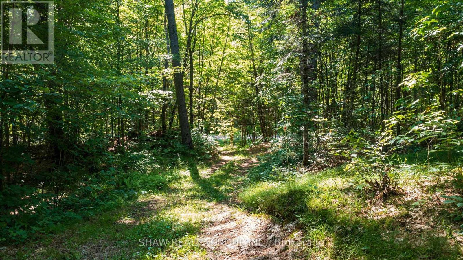 3726 Nipissing Road, Magnetawan, Ontario  P0A 1P0 - Photo 43 - X13635276