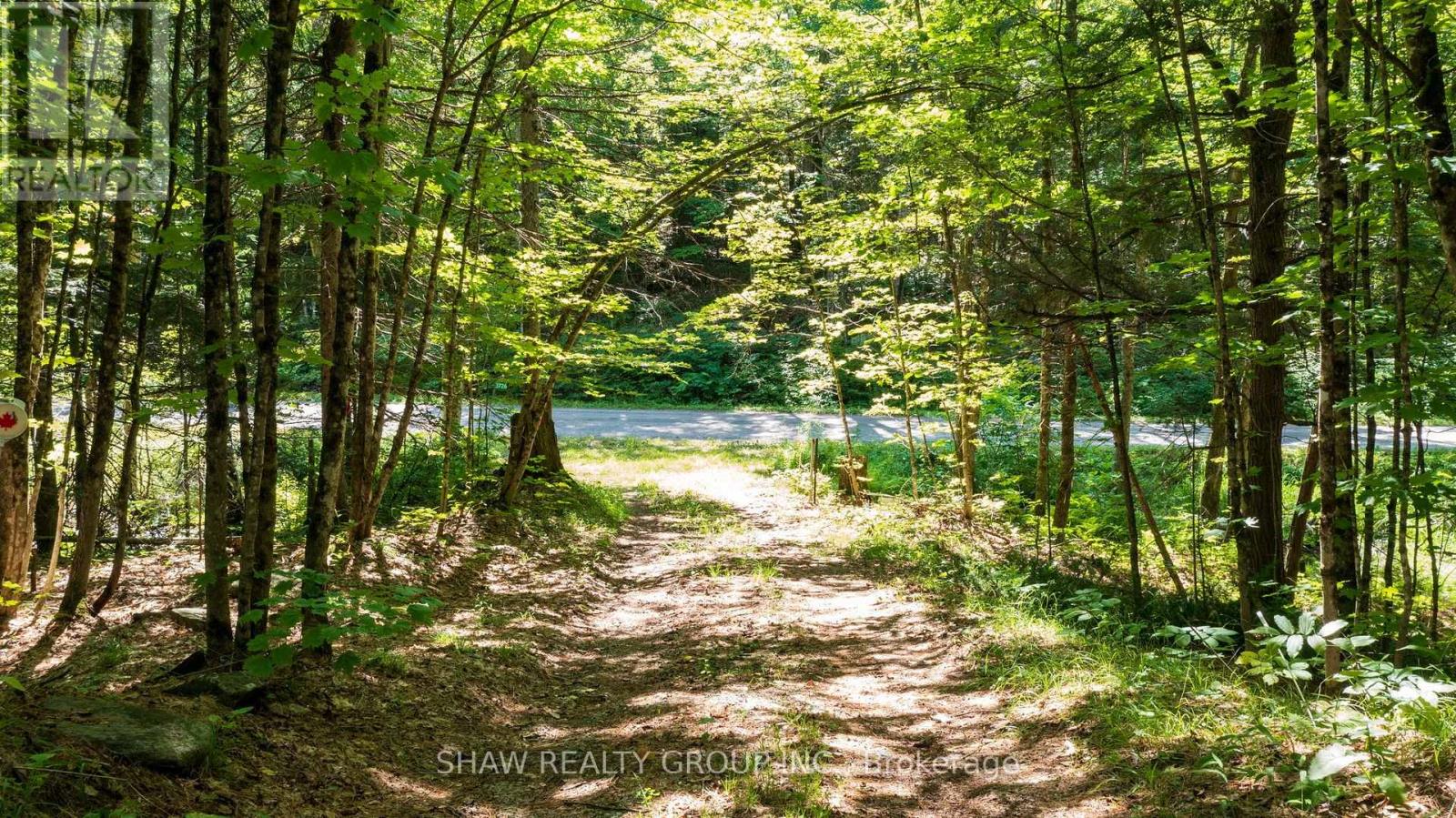 3726 Nipissing Road, Magnetawan, Ontario  P0A 1P0 - Photo 44 - X13635276