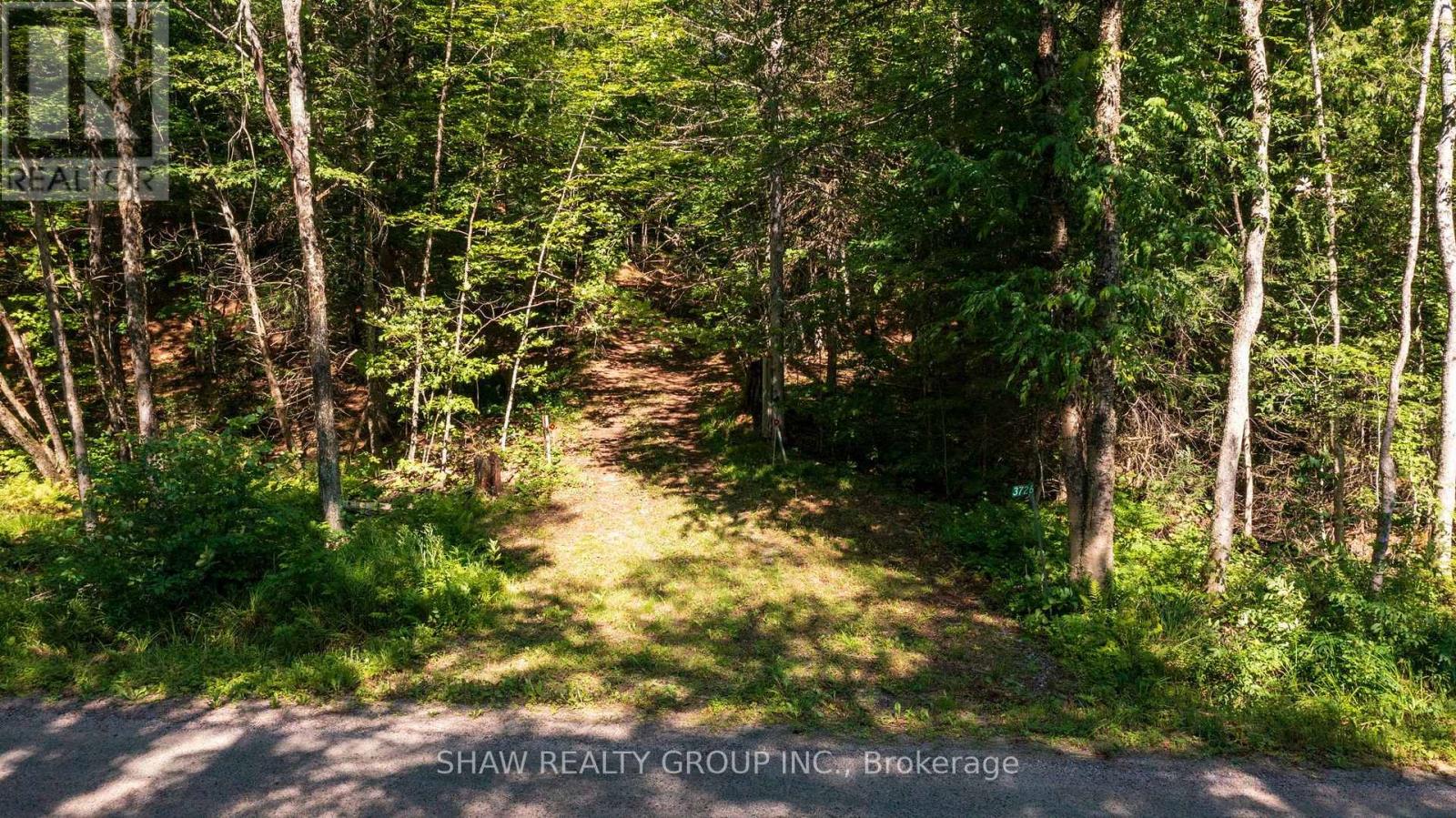3726 Nipissing Road, Magnetawan, Ontario  P0A 1P0 - Photo 45 - X13635276