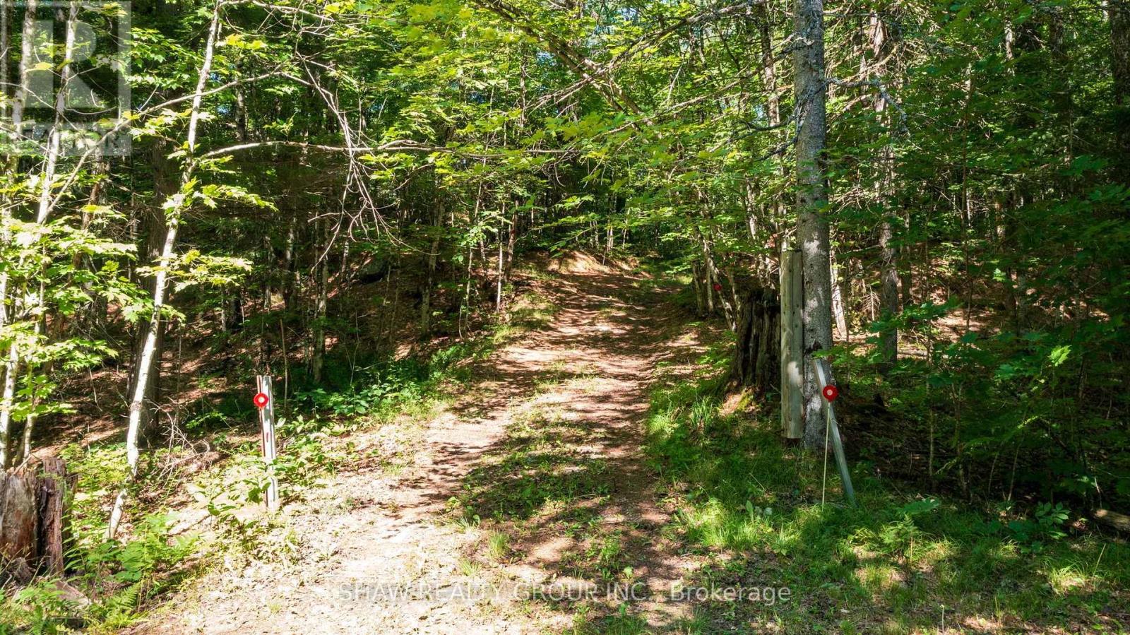 3726 Nipissing Road, Magnetawan, Ontario  P0A 1P0 - Photo 48 - X13635276