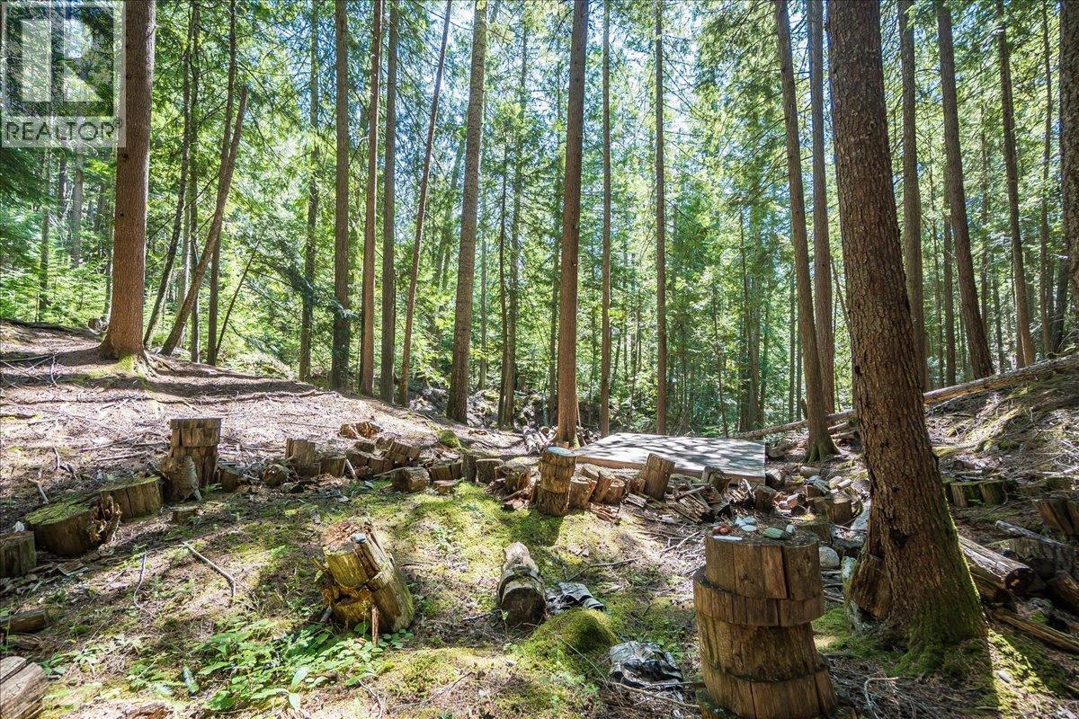 5631 Longbeach Road, Nelson, British Columbia  V1L 6N9 - Photo 86 - 10374255