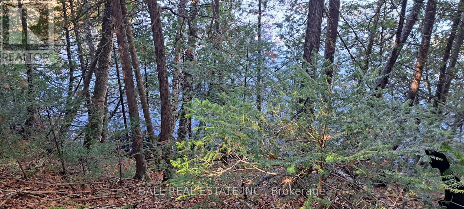 1992 Smith Road, Frontenac, Ontario  K0H 1C0 - Photo 5 - X13635680