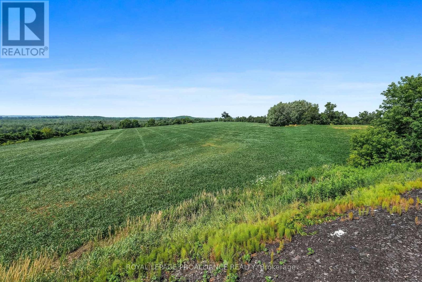 1526 County Road 2, Otonabee-South Monaghan, Ontario  K0L 1B0 - Photo 20 - X13635730