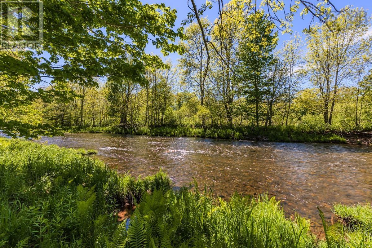 161 Highway 311 Loop, Balfron, Nova Scotia  B0K 1V0 - Photo 43 - 202606022