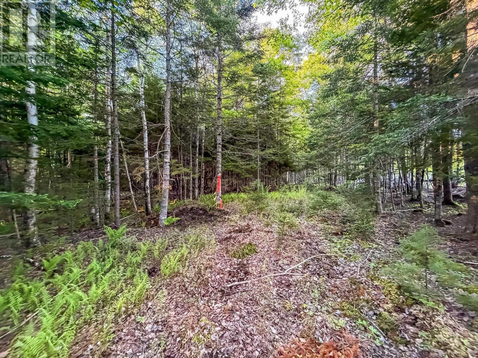 Lot (Pid 60242856) Mullock Road, Rhodes Corner, Nova Scotia  B4V 5N5 - Photo 2 - 202613907