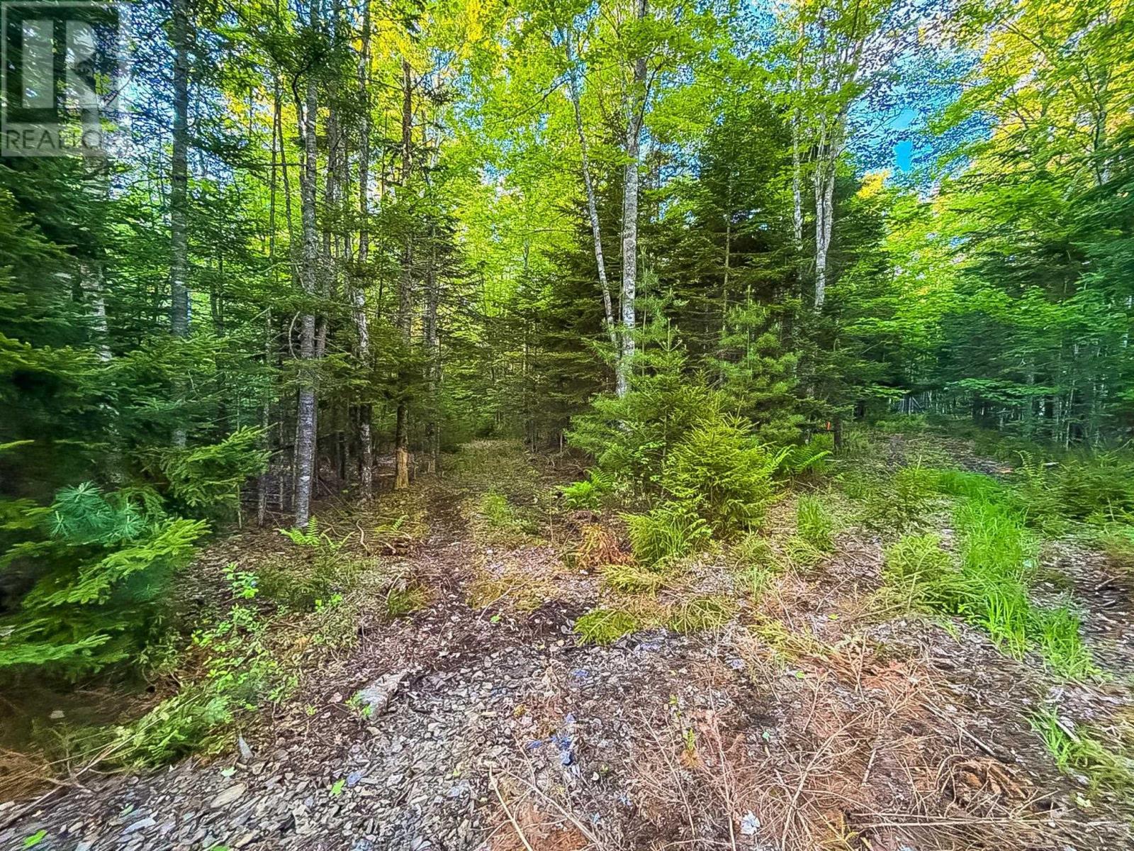 Lot (Pid 60242856) Mullock Road, Rhodes Corner, Nova Scotia  B4V 5N5 - Photo 3 - 202613907