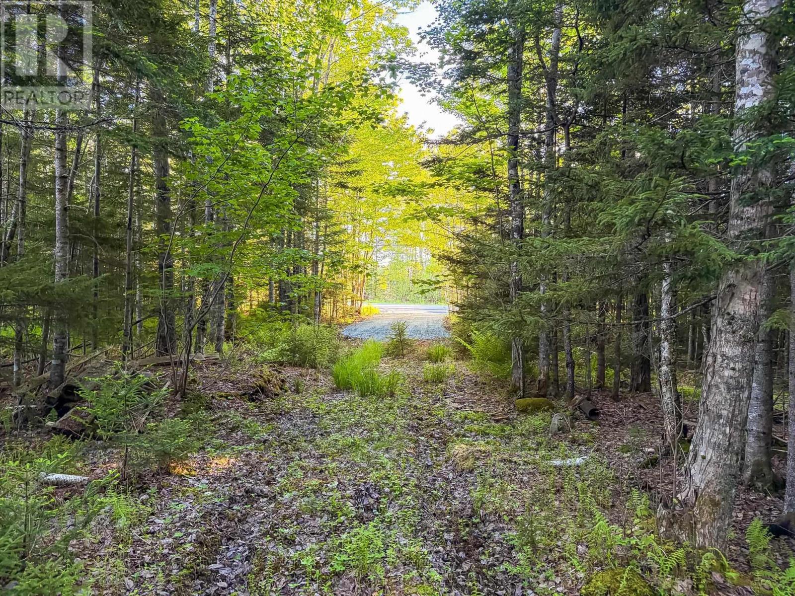 Lot (Pid 60242856) Mullock Road, Rhodes Corner, Nova Scotia  B4V 5N5 - Photo 4 - 202613907