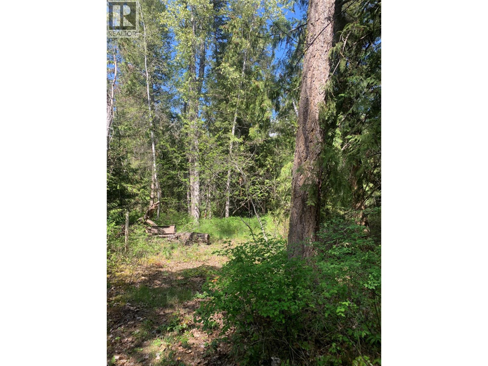 Lot A Squilax-Anglemont Road, Lee Creek, British Columbia  V0E 1M4 - Photo 4 - 10390863