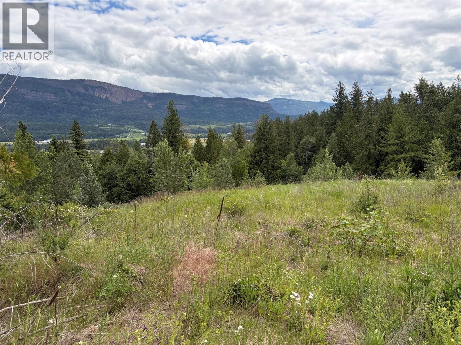 78 97b Highway, Enderby, British Columbia  V0E 1V0 - Photo 15 - 10390251