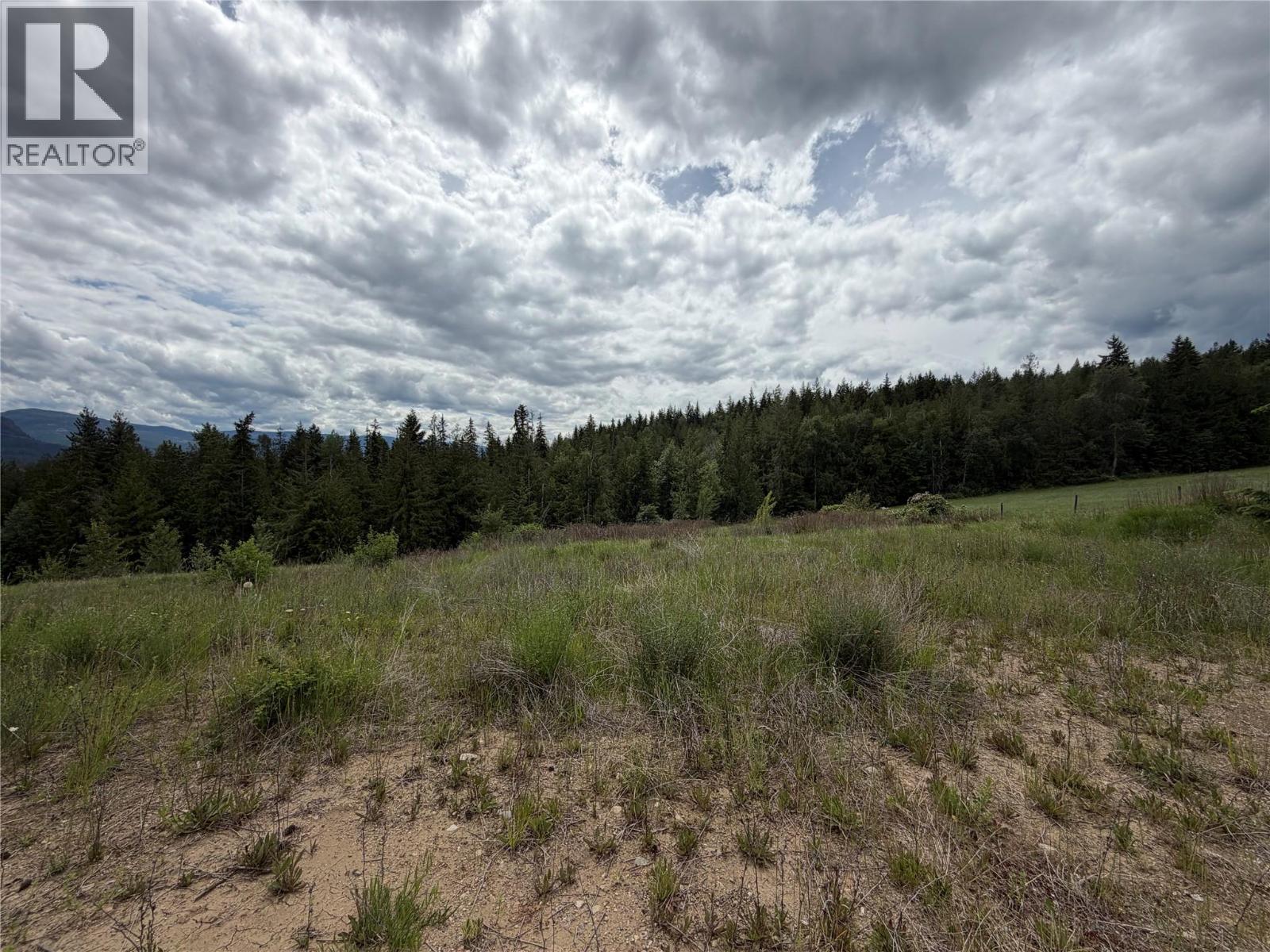 78 97b Highway, Enderby, British Columbia  V0E 1V0 - Photo 17 - 10390251