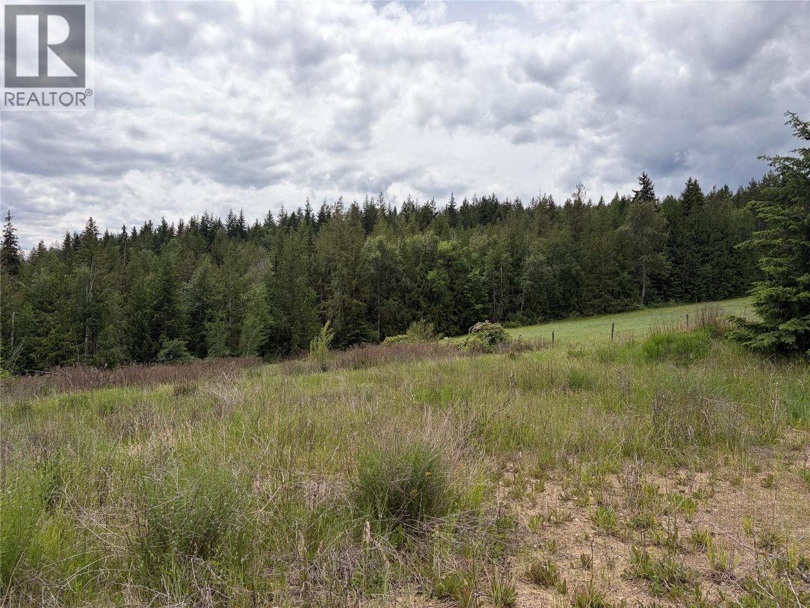 78 97b Highway, Enderby, British Columbia  V0E 1V0 - Photo 18 - 10390251