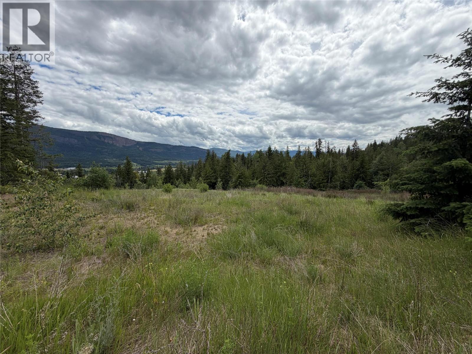 78 97b Highway, Enderby, British Columbia  V0E 1V0 - Photo 16 - 10390251
