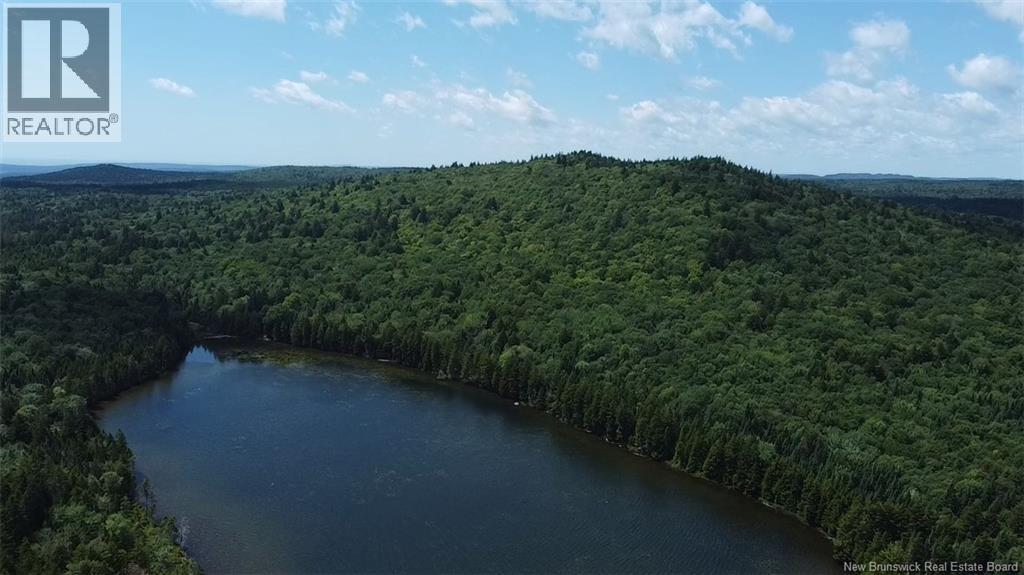 Big Salmon River Road, Fair View, New Brunswick  E5R 1L6 - Photo 6 - NB145118