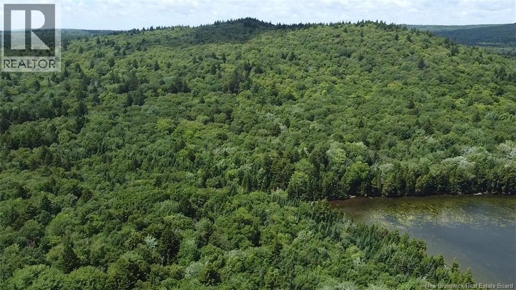 Big Salmon River Road, Fair View, New Brunswick  E5R 1L6 - Photo 10 - NB145118