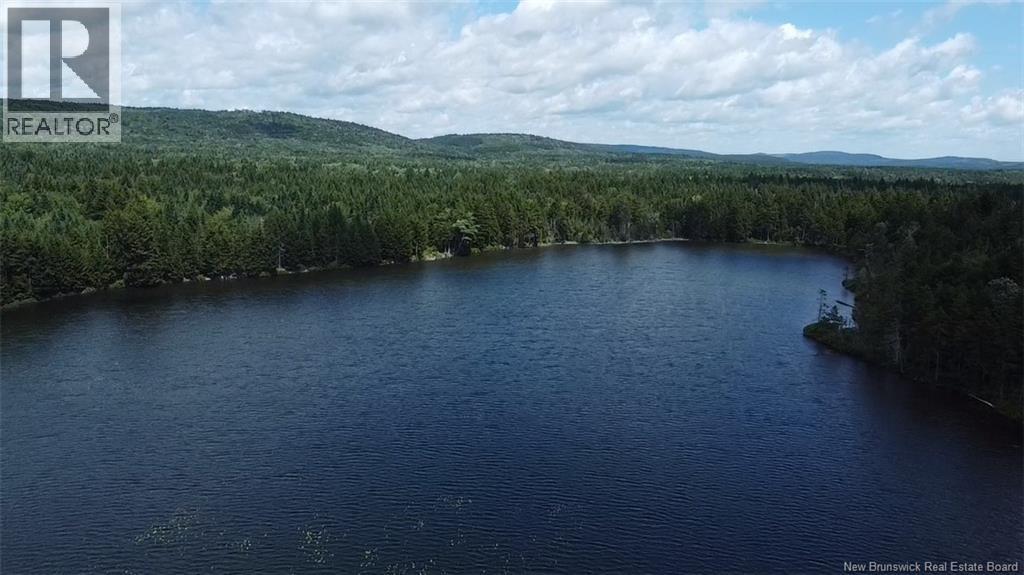 Big Salmon River Road, Fair View, New Brunswick  E5R 1L6 - Photo 5 - NB145118