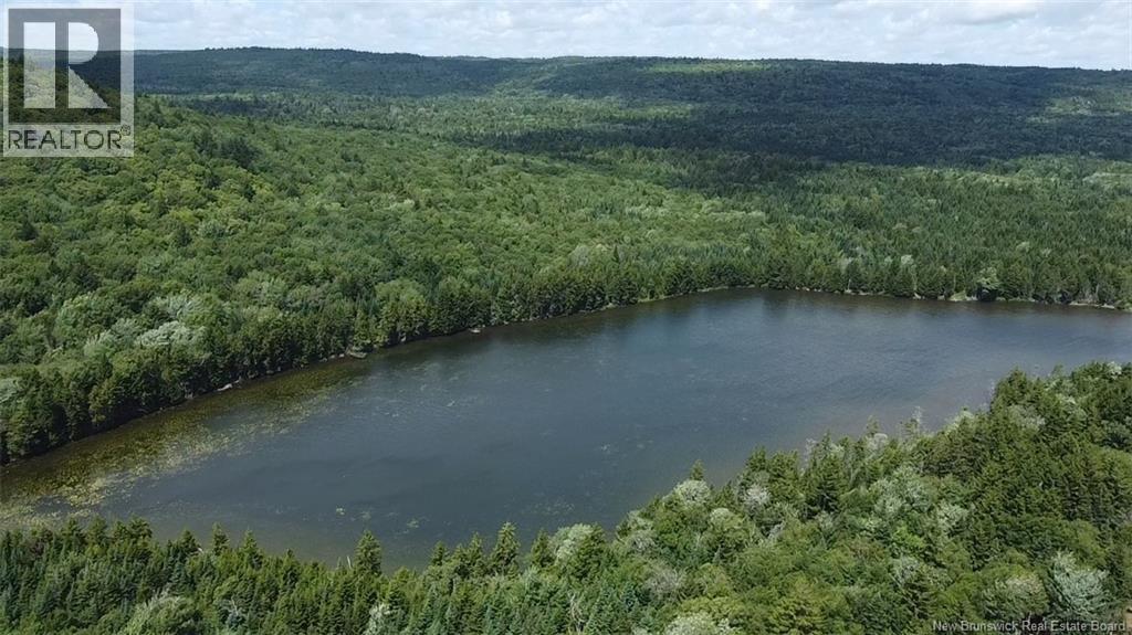 Big Salmon River Road, Fair View, New Brunswick  E5R 1L6 - Photo 2 - NB145118